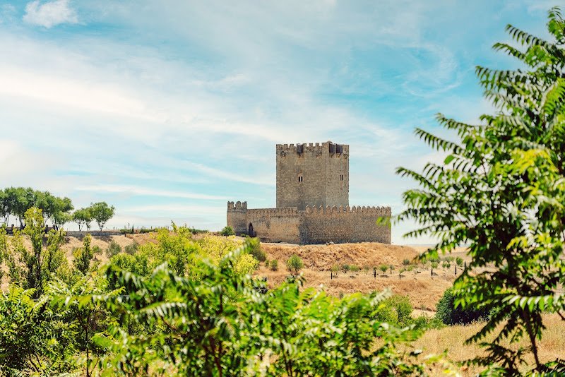 abba Hoteles | Las Viñas Tiedra Hotel Rural - ()