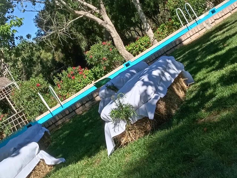 Alojamiento Rural El Molino de Benalup - ()