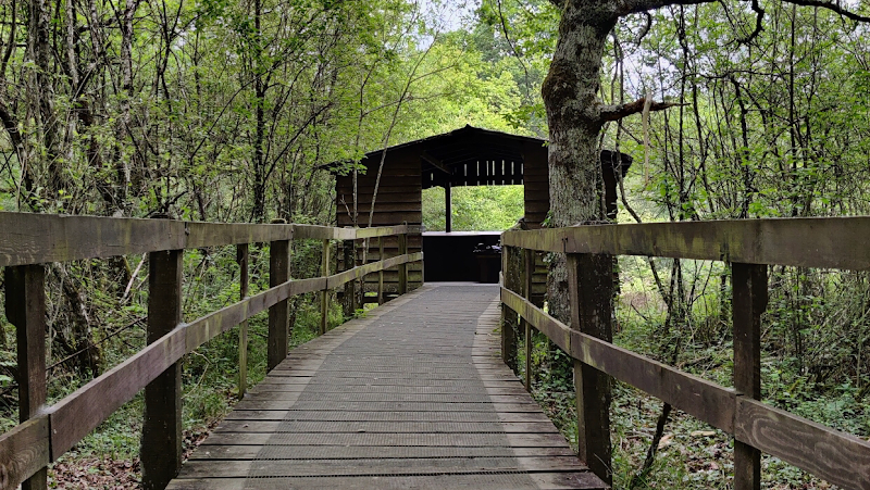 Bosque de Orgi - ()