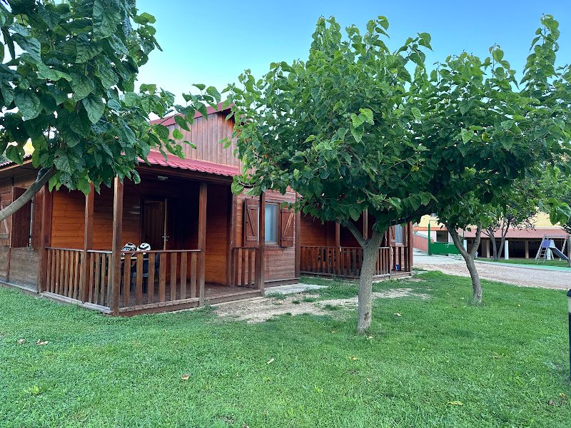 Camping de Cañizar - ()