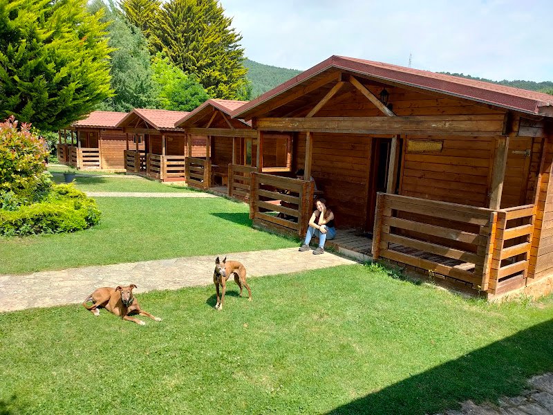 Complejo de Ocio y Turismo La Cabaña Rural En Paúl - ()