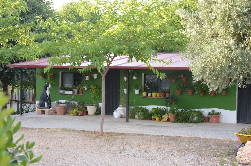 GRANJA la LUNA Residencia canina perros gatos en Madrid - ()