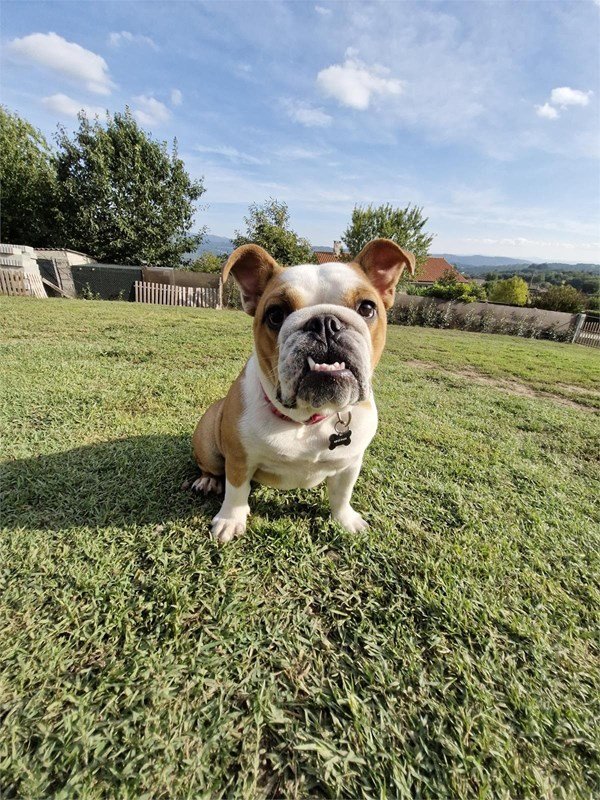 Hotel Canino Gardacan - ()