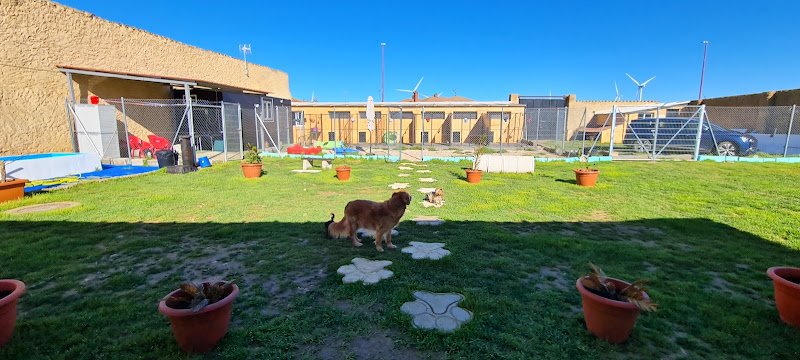 HOTEL CANINO SULU. (Peluquería Canina) - ()