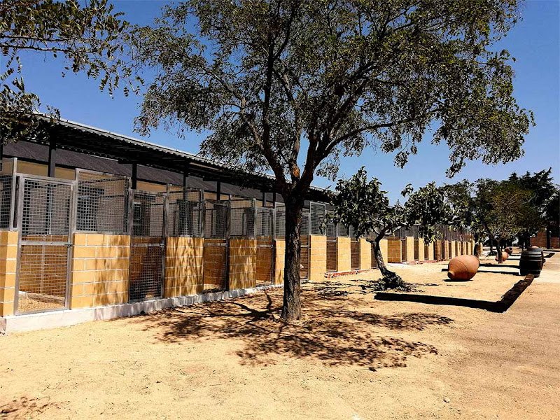 La Martina Residencia Canina - ()