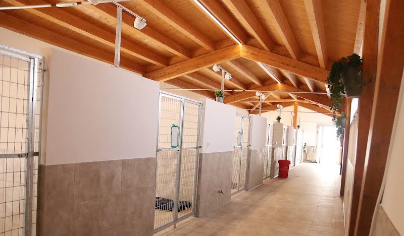 Mendixurbe Hotel Canino - ()