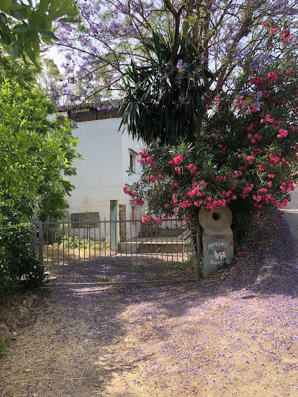 Molino Maroto - ()