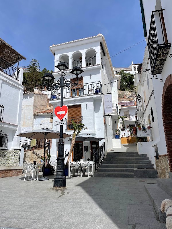 Olive & Ivy Guest House - ()