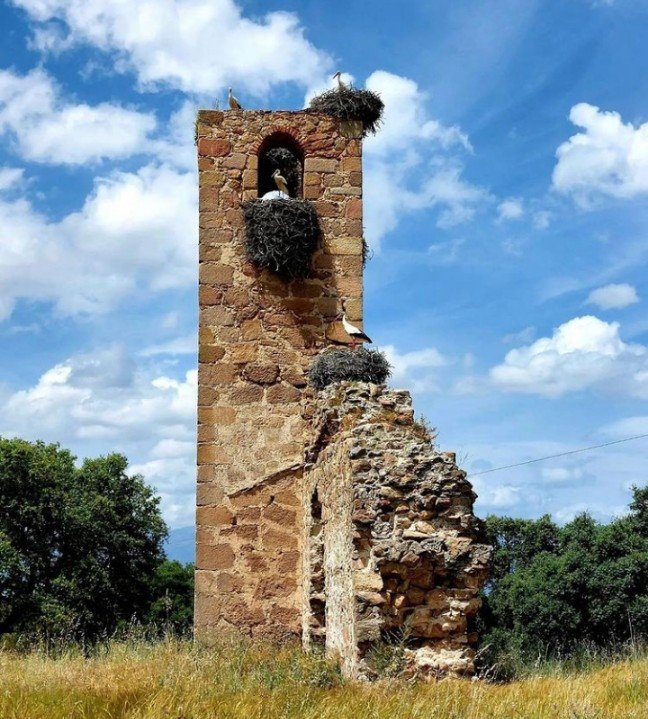 Peraleda de la Mata - ()