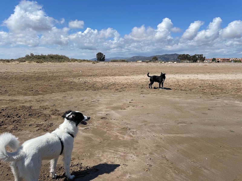 Platja Canina - ()