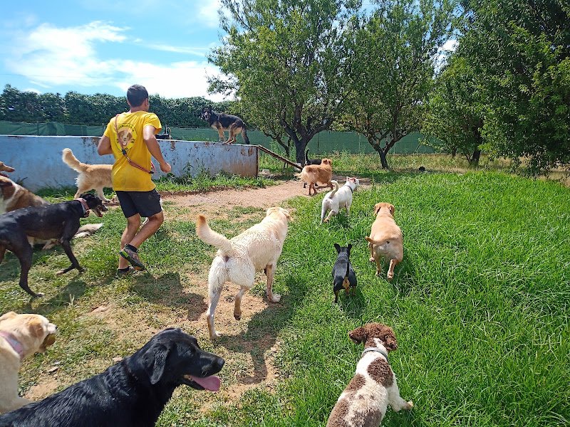 Residencia Canina El Mas - ()