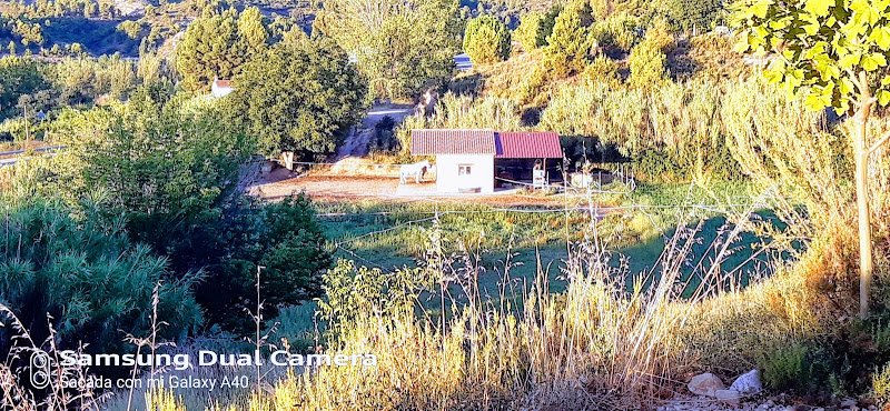 The Marshall House - ()